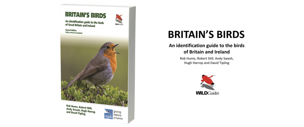 The Winners of the Britain’s Bird Second Edition Prize Draw – The Urban ...